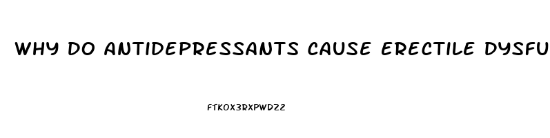 Why Do Antidepressants Cause Erectile Dysfunction