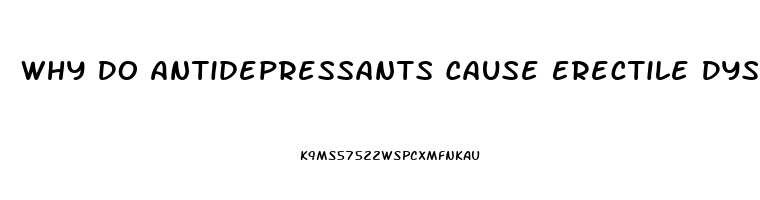 Why Do Antidepressants Cause Erectile Dysfunction
