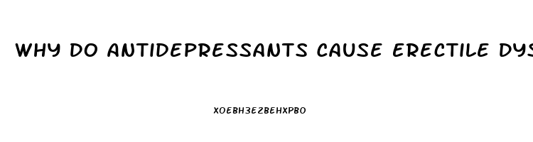 Why Do Antidepressants Cause Erectile Dysfunction