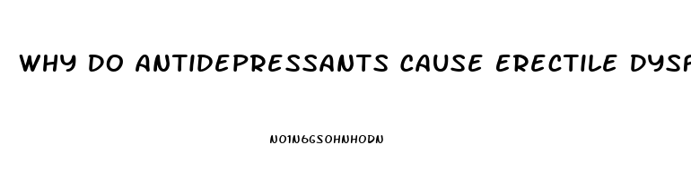 Why Do Antidepressants Cause Erectile Dysfunction