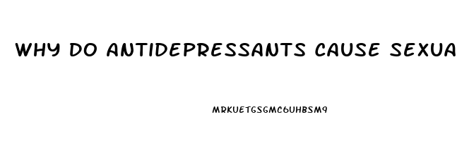 Why Do Antidepressants Cause Sexual Dysfunction