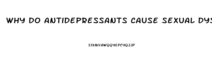 Why Do Antidepressants Cause Sexual Dysfunction