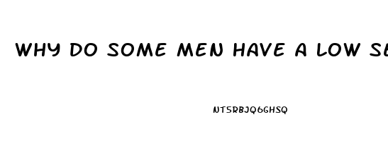 Why Do Some Men Have A Low Sex Drive