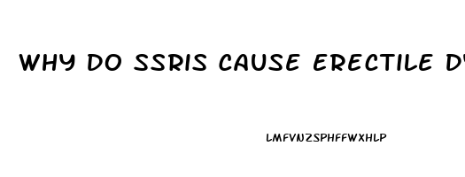 Why Do Ssris Cause Erectile Dysfunction