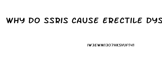 Why Do Ssris Cause Erectile Dysfunction