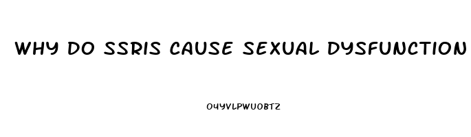 Why Do Ssris Cause Sexual Dysfunction
