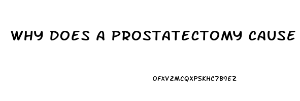 Why Does A Prostatectomy Cause Impotence