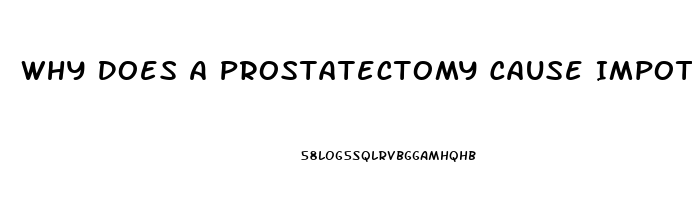 Why Does A Prostatectomy Cause Impotence
