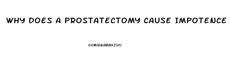 Why Does A Prostatectomy Cause Impotence