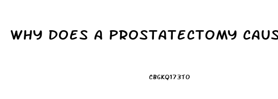 Why Does A Prostatectomy Cause Impotence