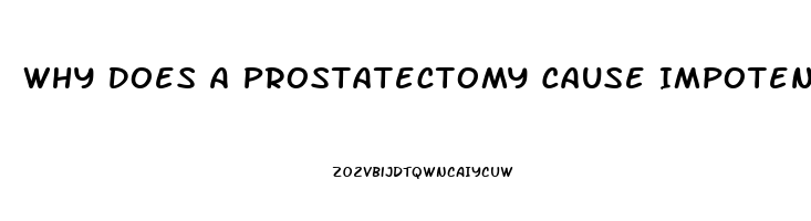 Why Does A Prostatectomy Cause Impotence