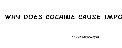 Why Does Cocaine Cause Impotence