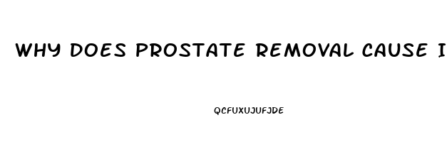 Why Does Prostate Removal Cause Impotence