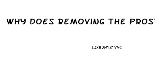 Why Does Removing The Prostate Cause Impotence