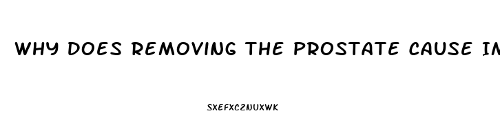 Why Does Removing The Prostate Cause Impotence