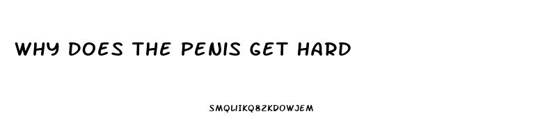 Why Does The Penis Get Hard