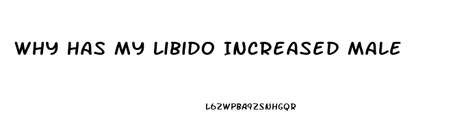 Why Has My Libido Increased Male