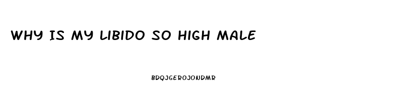 Why Is My Libido So High Male