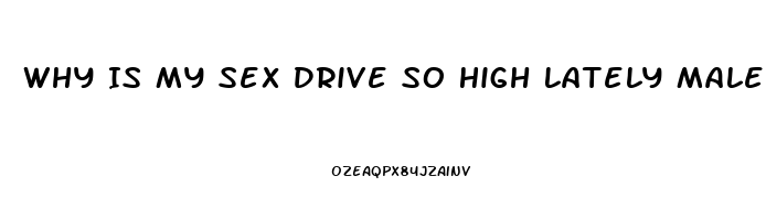 Why Is My Sex Drive So High Lately Male