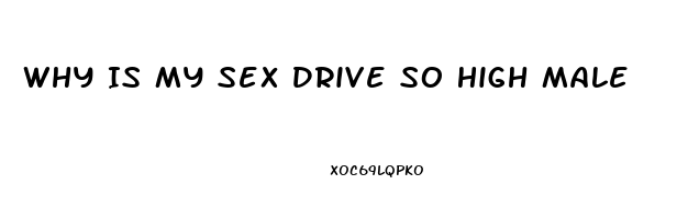 Why Is My Sex Drive So High Male