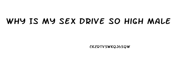 Why Is My Sex Drive So High Male