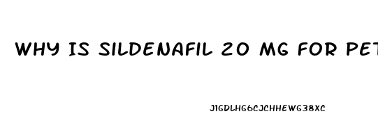 Why Is Sildenafil 20 Mg For Pets Cheaper Than For Humans