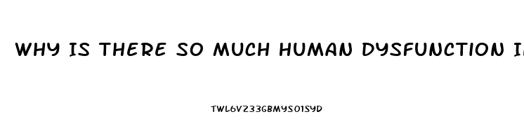 Why Is There So Much Human Dysfunction In Horse Rescue