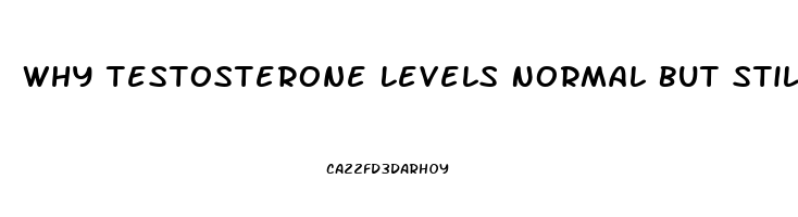 Why Testosterone Levels Normal But Still No Libido