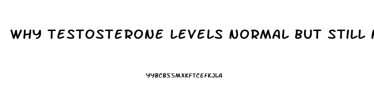 Why Testosterone Levels Normal But Still No Libido