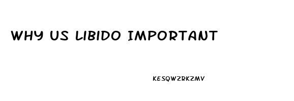 Why Us Libido Important