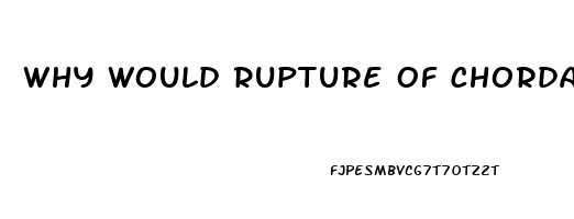 Why Would Rupture Of Chordae Tendineae Lead To Valve Dysfunction