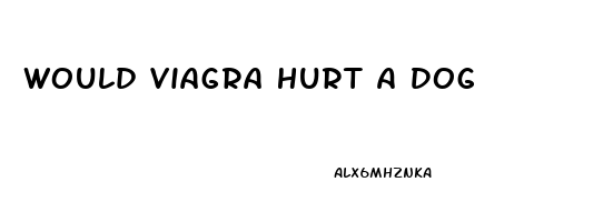 Would Viagra Hurt A Dog