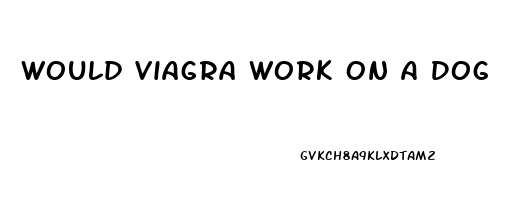 Would Viagra Work On A Dog