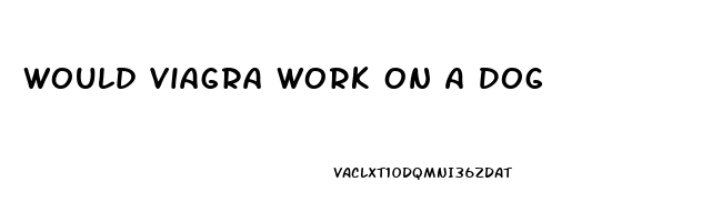 Would Viagra Work On A Dog