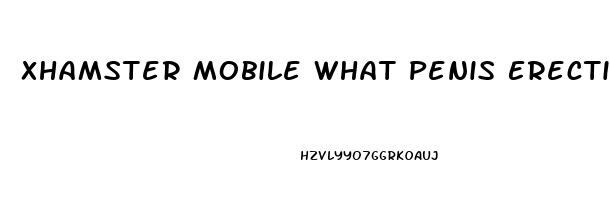 Xhamster Mobile What Penis Erection Pills Do Pornstars Use All Natural