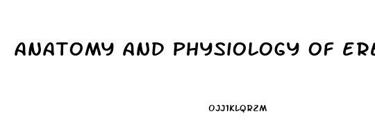 anatomy and physiology of erectile dysfunction