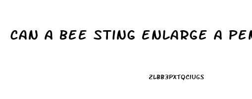 can a bee sting enlarge a penis