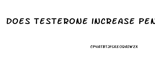 does testerone increase penis size