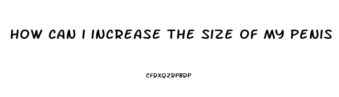 how can i increase the size of my penis