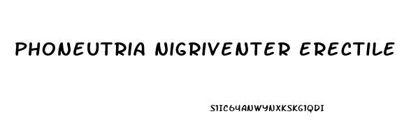 phoneutria nigriventer erectile dysfunction