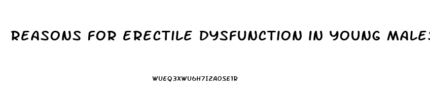 reasons for erectile dysfunction in young males