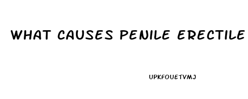 what causes penile erectile dysfunction