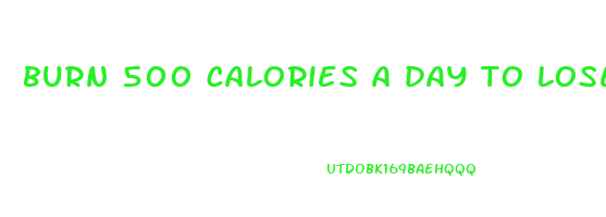 burn 500 calories a day to lose weight