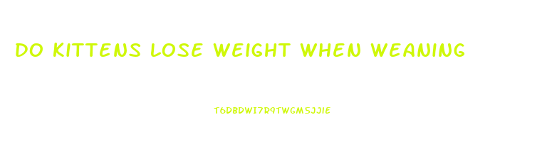 do kittens lose weight when weaning