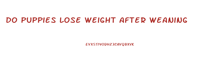 do puppies lose weight after weaning