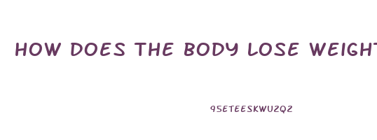 how does the body lose weight scientifically
