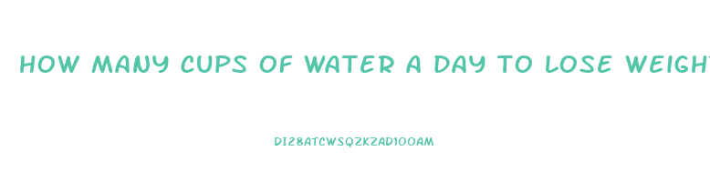 how many cups of water a day to lose weight