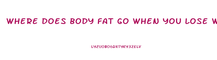 where does body fat go when you lose weight