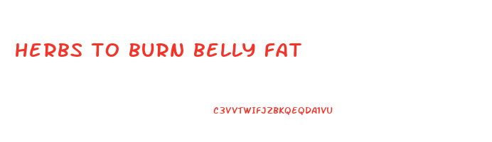 herbs to burn belly fat