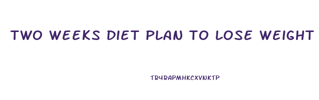 two weeks diet plan to lose weight
